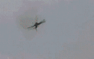 a374fa574ee8448ff36ac72b857de6a4.gif