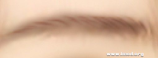 2013030120180392.jpg
