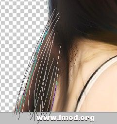 20130301201803126.jpg