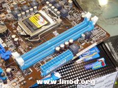 img201303061220284.jpg