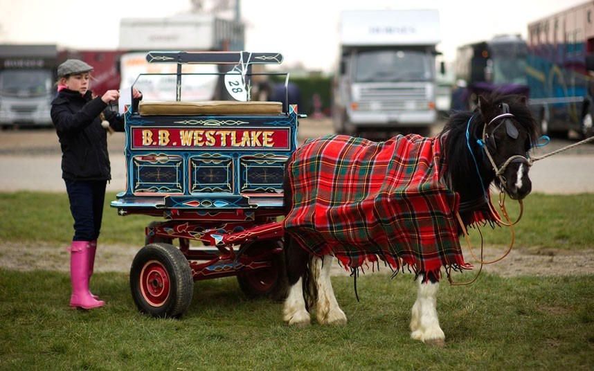 英国苏塞克斯，小姑娘正为参加伦敦挽马大游行做准备工作。摄影：贝瑟尼·克拉克，来源：Getty Images。 ...