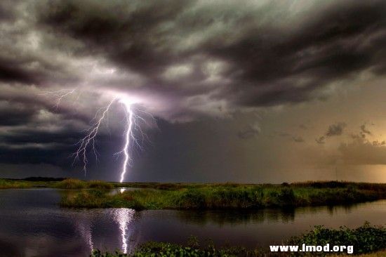 佛罗里达州，闪电照亮了一片沼泽地。.jpg