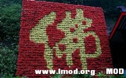 1355001.jpg