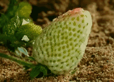 2012090613583051223.gif