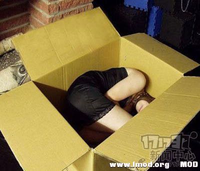 你的快递到了请验收