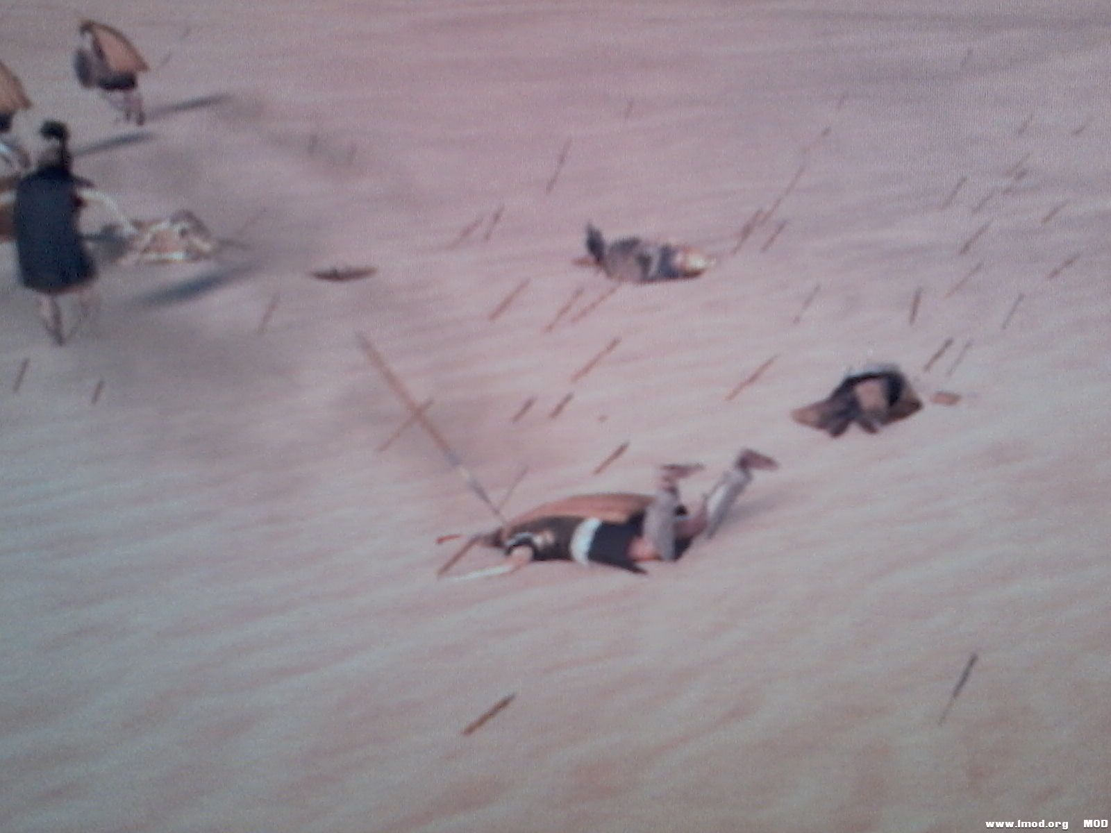 逃兵中標槍倒地