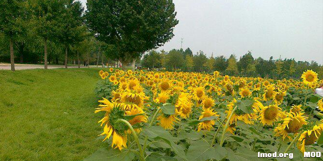 QQ截图20141006163005.png