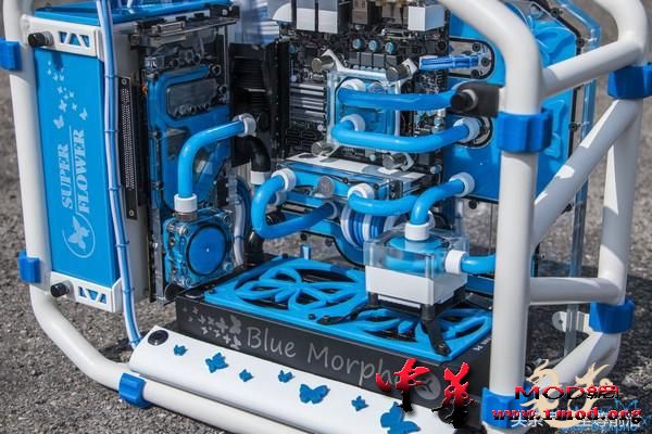 16d00006a8bdeac84e3b