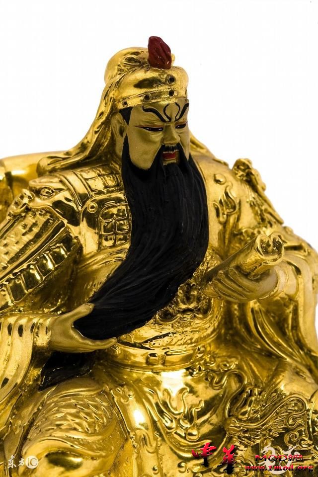 31d1000369acd876274c